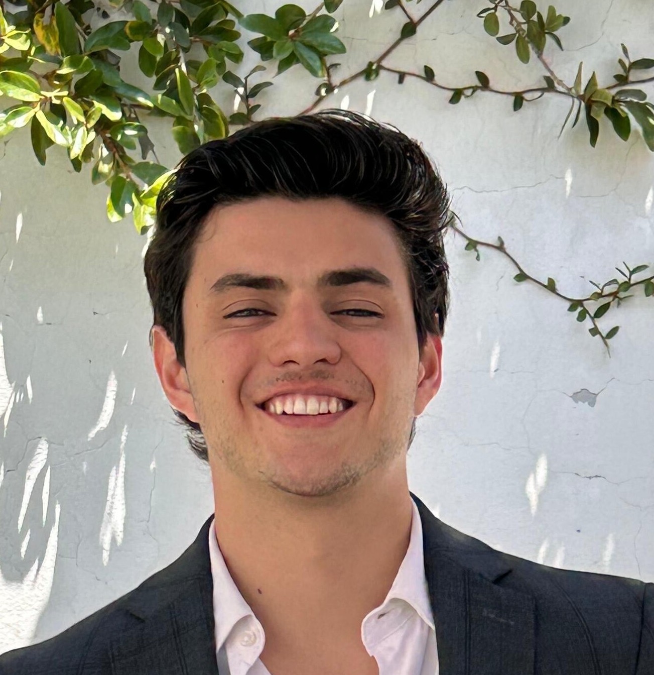 Santiago Peregrina picture