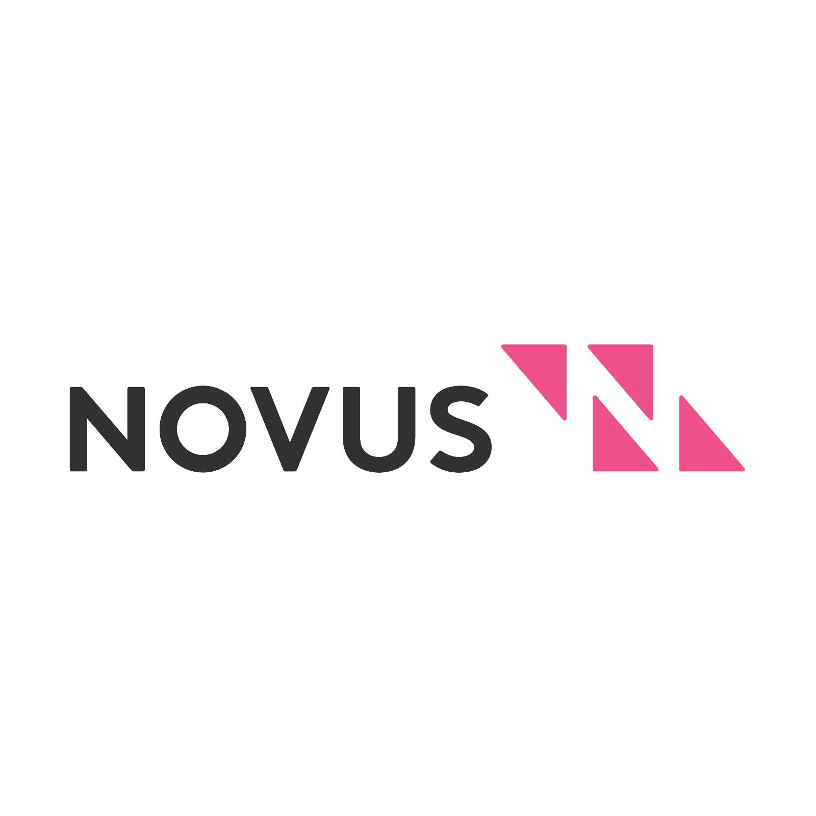 Novus Consulting logo