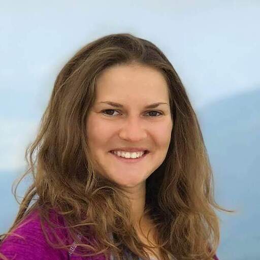 Viktoriia Polishchuk logo