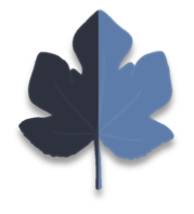 A.A.Figueiredo Ltda. logo